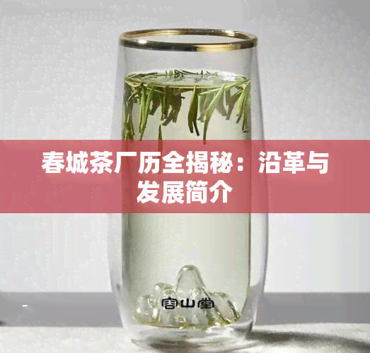 春城茶厂历全揭秘：沿革与发展简介