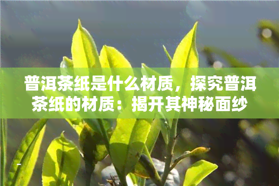 普洱茶纸是什么材质，探究普洱茶纸的材质：揭开其神秘面纱