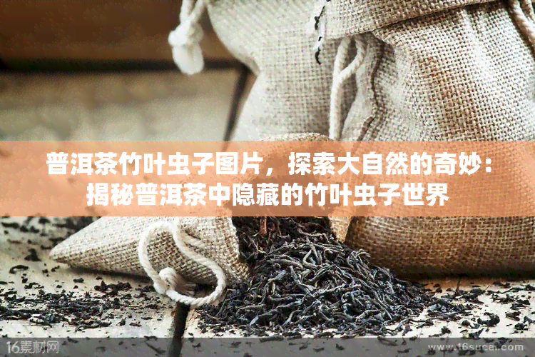 普洱茶竹叶虫子图片，探索大自然的奇妙：揭秘普洱茶中隐藏的竹叶虫子世界