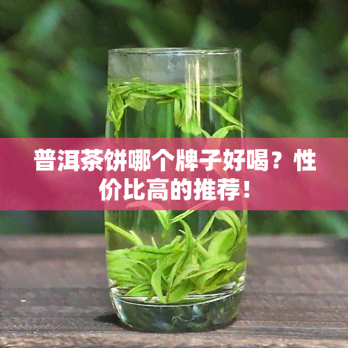 普洱茶饼哪个牌子好喝？性价比高的推荐！