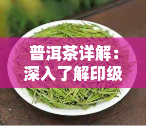 普洱茶详解：深入了解印级普洱茶与解读技巧