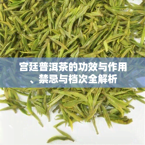 宫廷普洱茶的功效与作用、禁忌与档次全解析