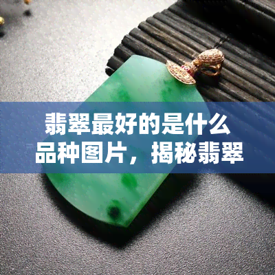 翡翠更好的是什么品种图片，揭秘翡翠界的佼佼者：看图了解更优质的翡翠品种