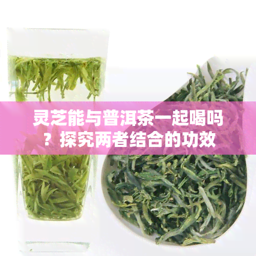 灵芝能与普洱茶一起喝吗？探究两者结合的功效