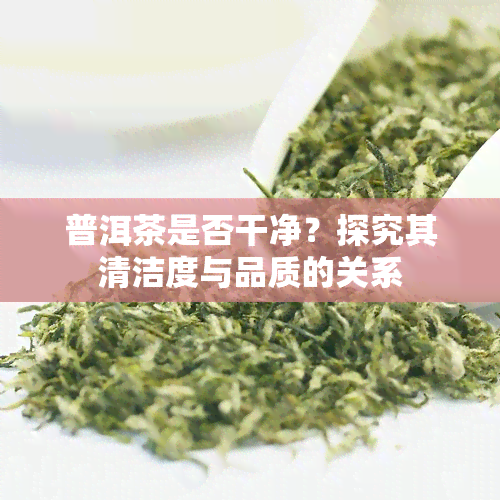 普洱茶是否干净？探究其清洁度与品质的关系