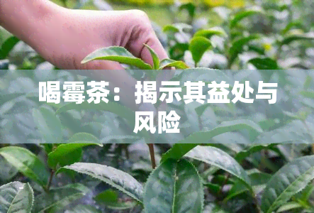 喝霉茶：揭示其益处与风险