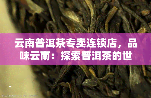 云南普洱茶专卖连锁店，品味云南：探索普洱茶的世界，尽在我们的专卖店连锁店！