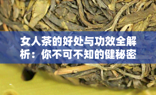 女人茶的好处与功效全解析：你不可不知的健秘密