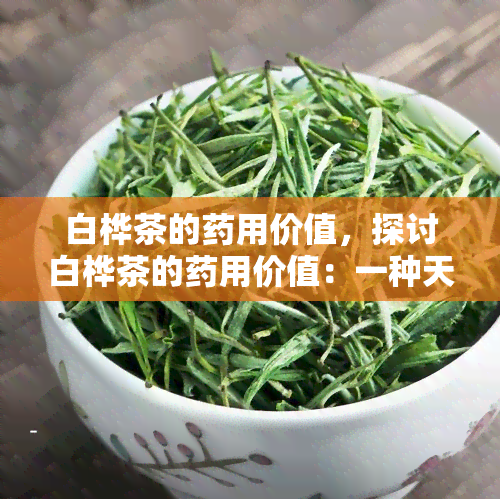 白桦茶的用价值，探讨白桦茶的用价值：一种天然健的饮品选择