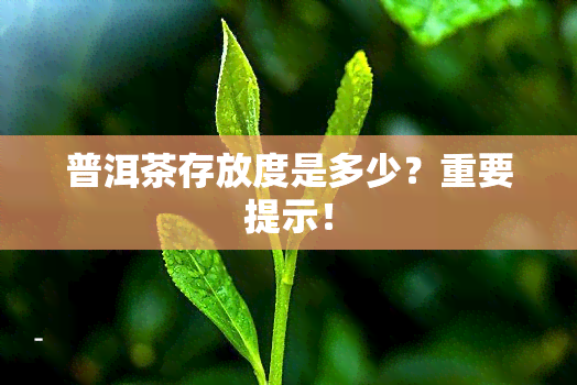 普洱茶存放度是多少？重要提示！