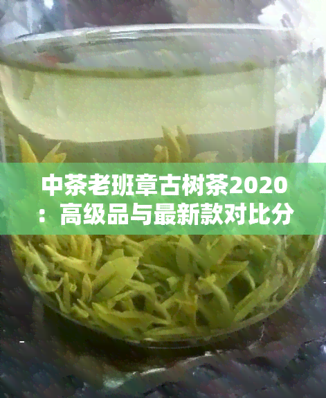 中茶老班章古树茶2020：高级品与最新款对比分析