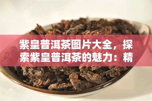 紫皇普洱茶图片大全，探索紫皇普洱茶的魅力：精美图片大全欣