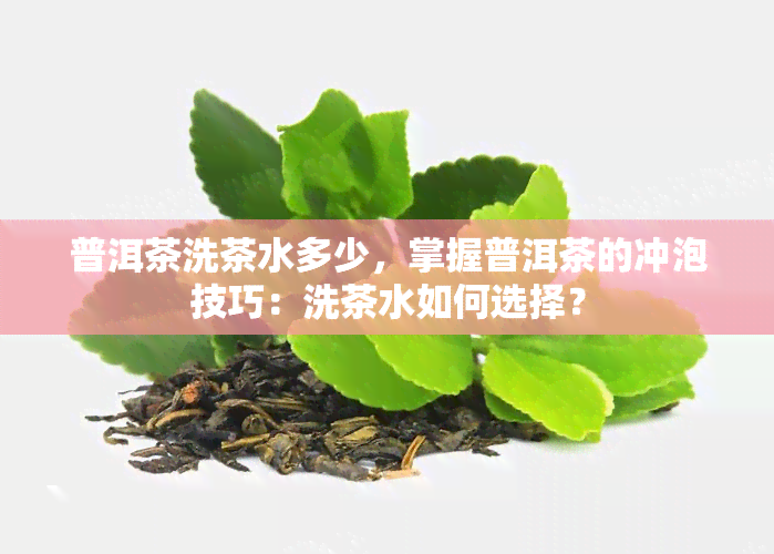 普洱茶洗茶水多少，掌握普洱茶的冲泡技巧：洗茶水如何选择？