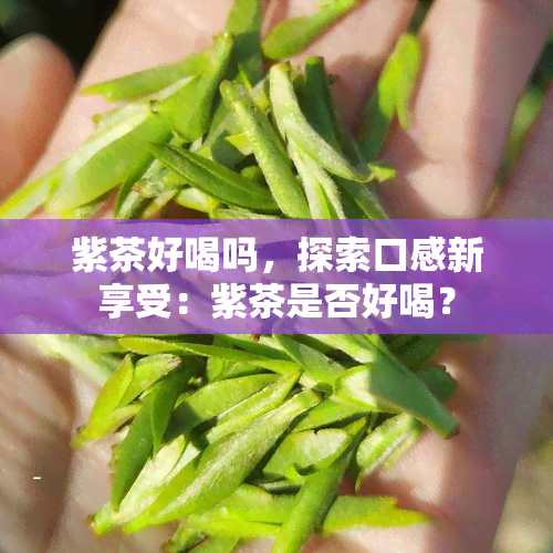 紫茶好喝吗，探索口感新享受：紫茶是否好喝？