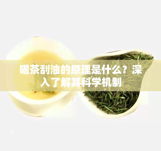 喝茶刮油的原理是什么？深入了解其科学机制