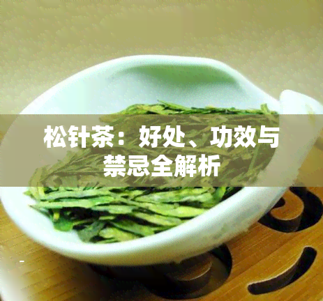 松针茶：好处、功效与禁忌全解析