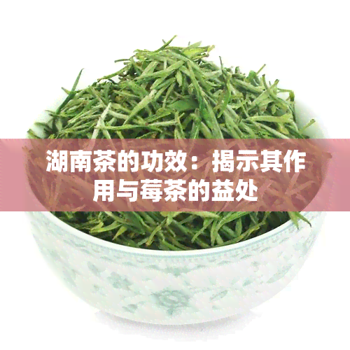 湖南茶的功效：揭示其作用与莓茶的益处