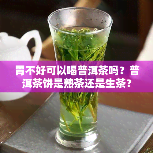 胃不好可以喝普洱茶吗？普洱茶饼是熟茶还是生茶？