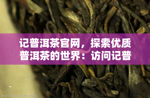 记普洱茶官网，探索优质普洱茶的世界：访问记普洱茶官网