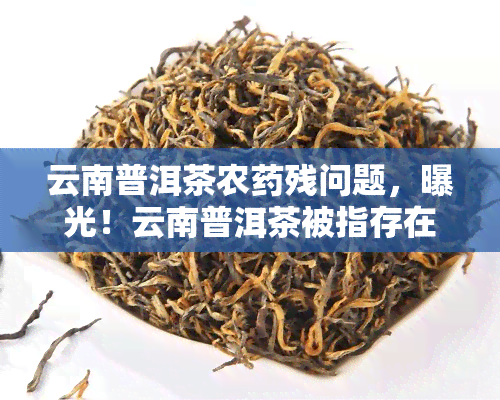 云南普洱茶农残问题，曝光！云南普洱茶被指存在农残留问题，消费者如何辨别和避免？