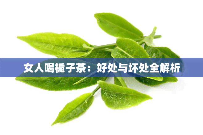 女人喝栀子茶：好处与坏处全解析