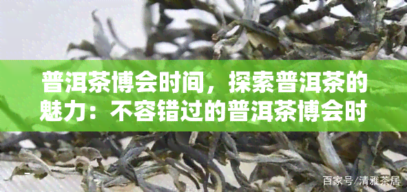 普洱茶博会时间，探索普洱茶的魅力：不容错过的普洱茶博会时间表