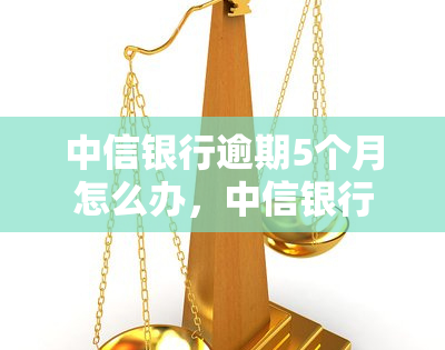 中信银行逾期5个月怎么办，中信银行信用卡逾期5个月，应该采取什么措？