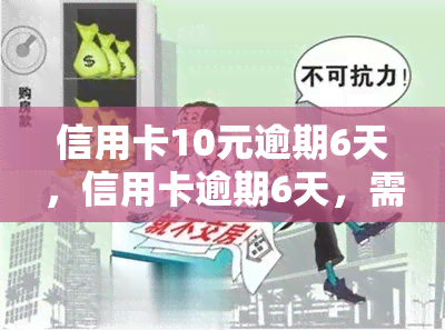 信用卡10元逾期6天，信用卡逾期6天，需支付多少滞纳金？