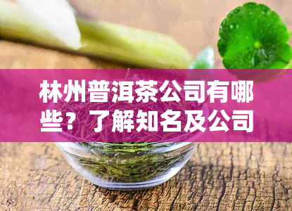 林州普洱茶公司有哪些？了解知名及公司信息