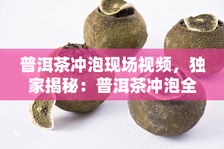 普洱茶冲泡现场视频，独家揭秘：普洱茶冲泡全过程实况视频