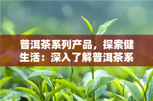 普洱茶系列产品，探索健生活：深入了解普洱茶系列产品的魅力