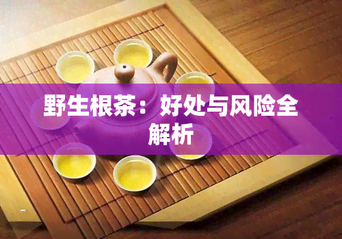 野生根茶：好处与风险全解析