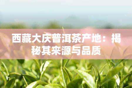  *** 大庆普洱茶产地：揭秘其来源与品质