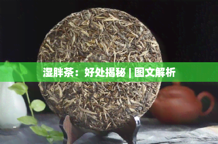 湿胖茶：好处揭秘 | 图文解析