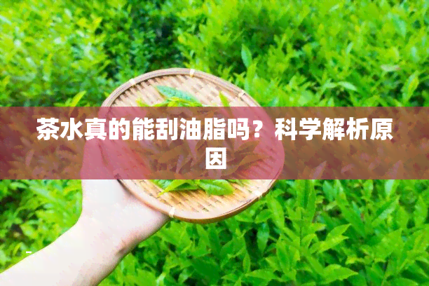 茶水真的能刮油脂吗？科学解析原因