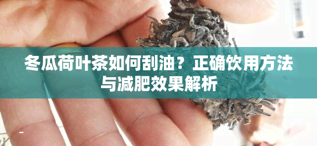 冬瓜荷叶茶如何刮油？正确饮用方法与减肥效果解析