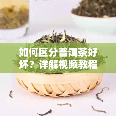 如何区分普洱茶好坏？详解视频教程