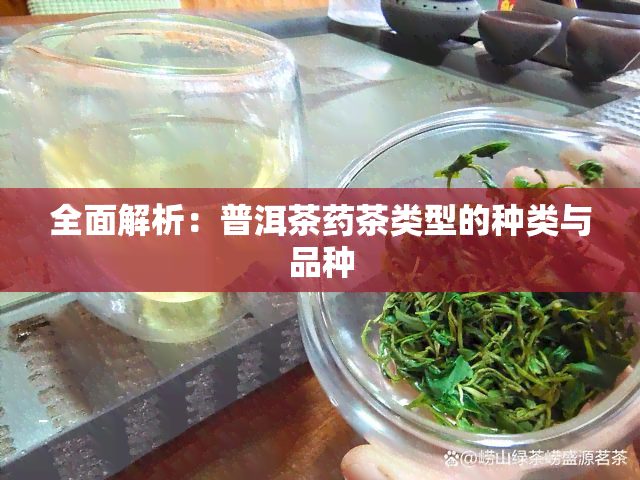 全面解析：普洱茶茶类型的种类与品种