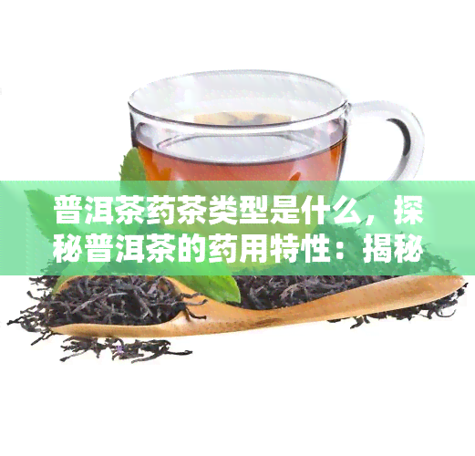 普洱茶茶类型是什么，探秘普洱茶的用特性：揭秘普洱茶茶类型的秘密