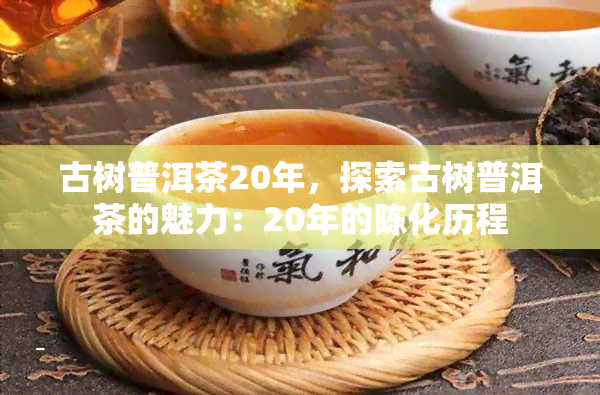 古树普洱茶20年，探索古树普洱茶的魅力：20年的陈化历程