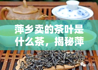 萍乡卖的茶叶是什么茶，揭秘萍乡特色茶叶：你不知道的美味种类！