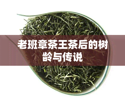 老班章茶王茶后的树龄与传说