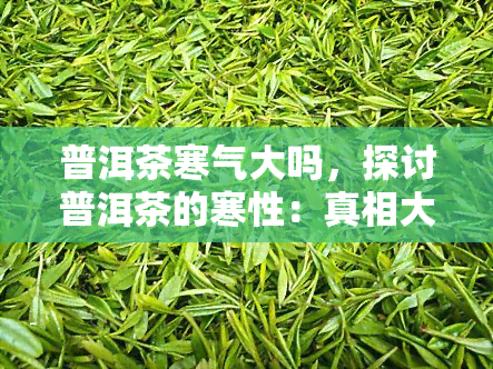 普洱茶寒气大吗，探讨普洱茶的寒性：真相大揭秘