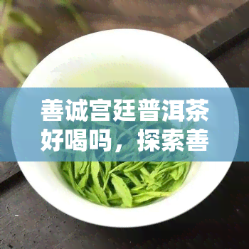 善诚宫廷普洱茶好喝吗，探索善诚宫廷普洱茶的魅力：口感如何？值得一试吗？