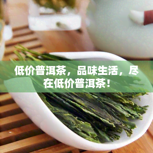 低价普洱茶，品味生活，尽在低价普洱茶！