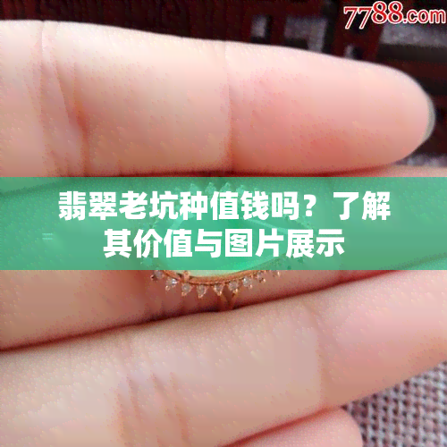 翡翠老坑种值钱吗？了解其价值与图片展示