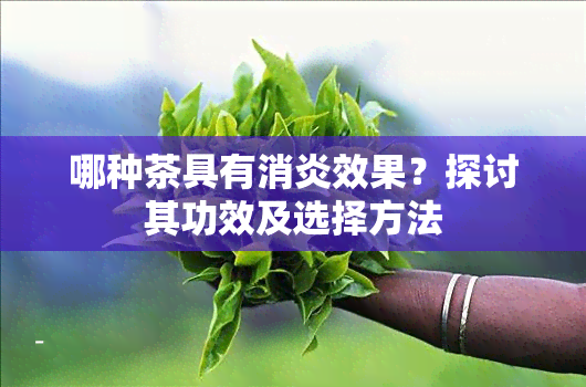 哪种茶具有消炎效果？探讨其功效及选择方法