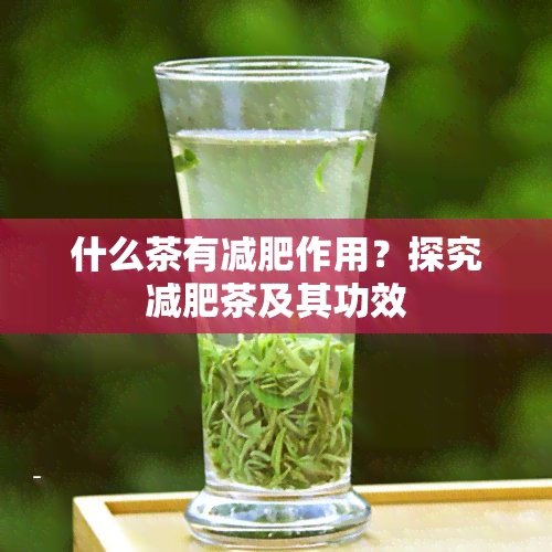 什么茶有减肥作用？探究减肥茶及其功效