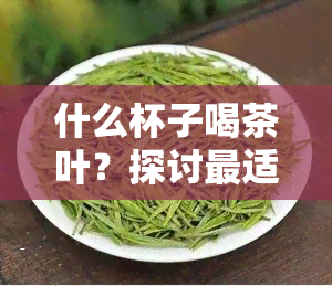 什么杯子喝茶叶？探讨最适合泡茶的杯型与材质