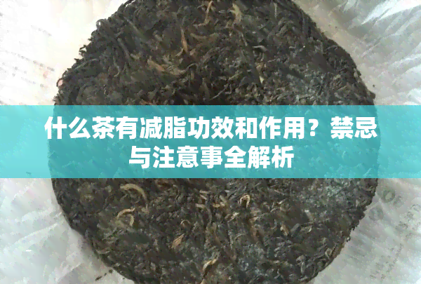 什么茶有减脂功效和作用？禁忌与注意事全解析